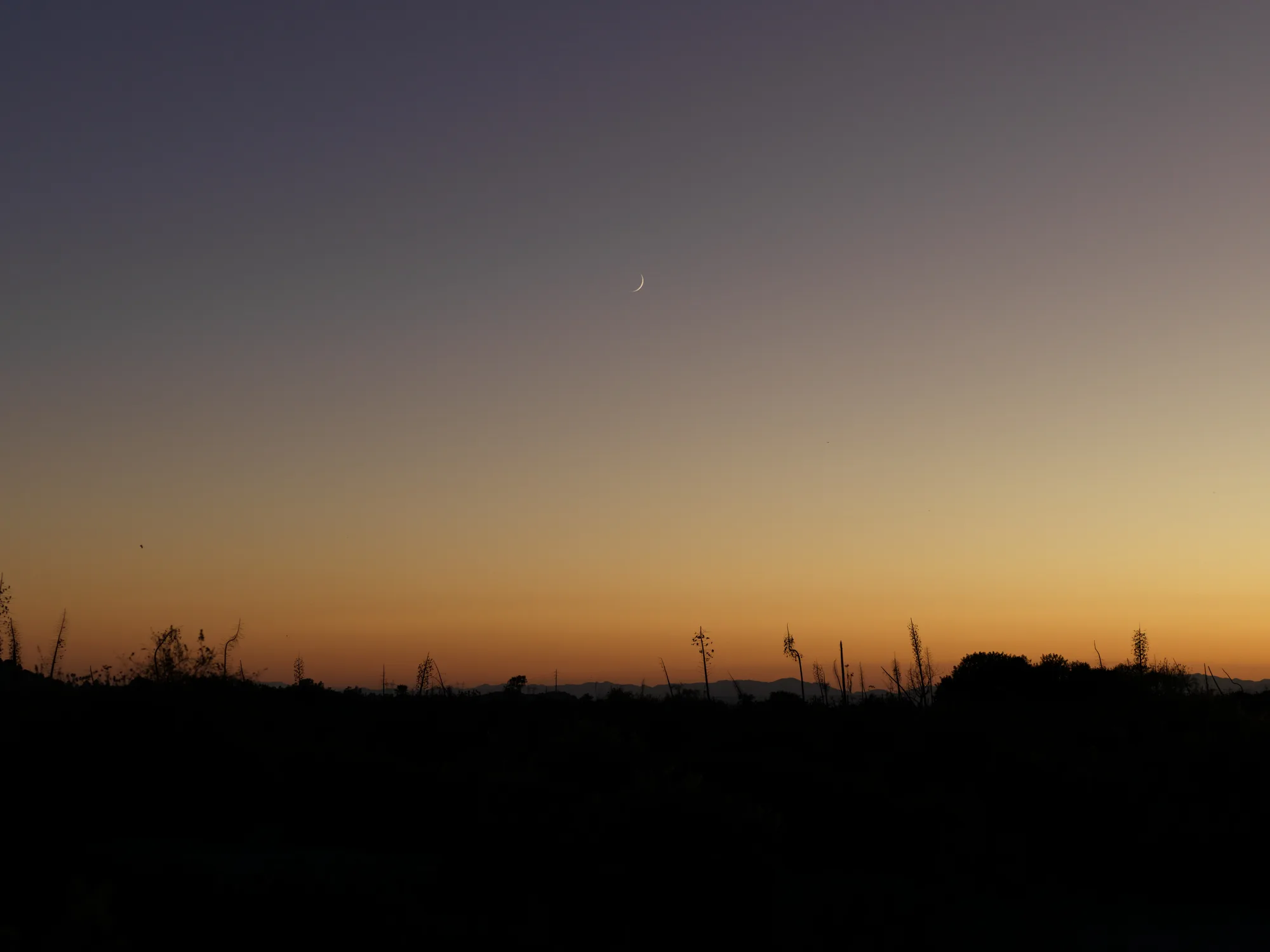 The last glimmers of light on a Friday night as the moon appears.